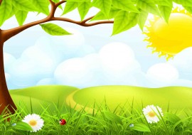 There was a blooming spider